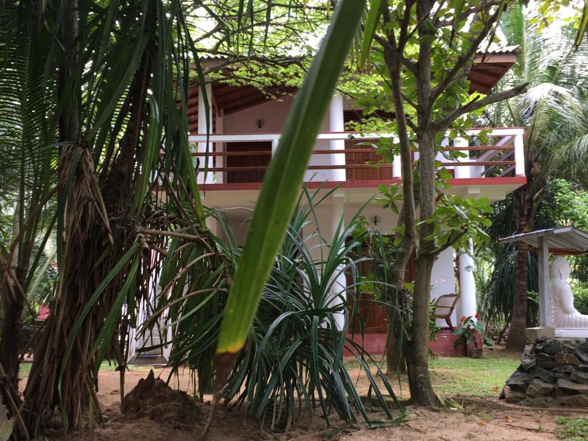 Hidden Garden